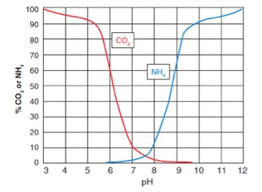 CO 2和pH相關，影響NH 3的毒性